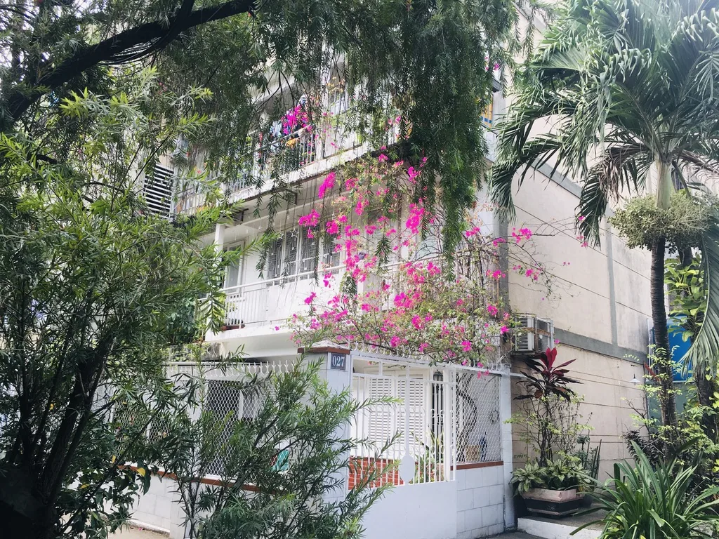 Vegetation, shade and tropical urban life in Saigon.