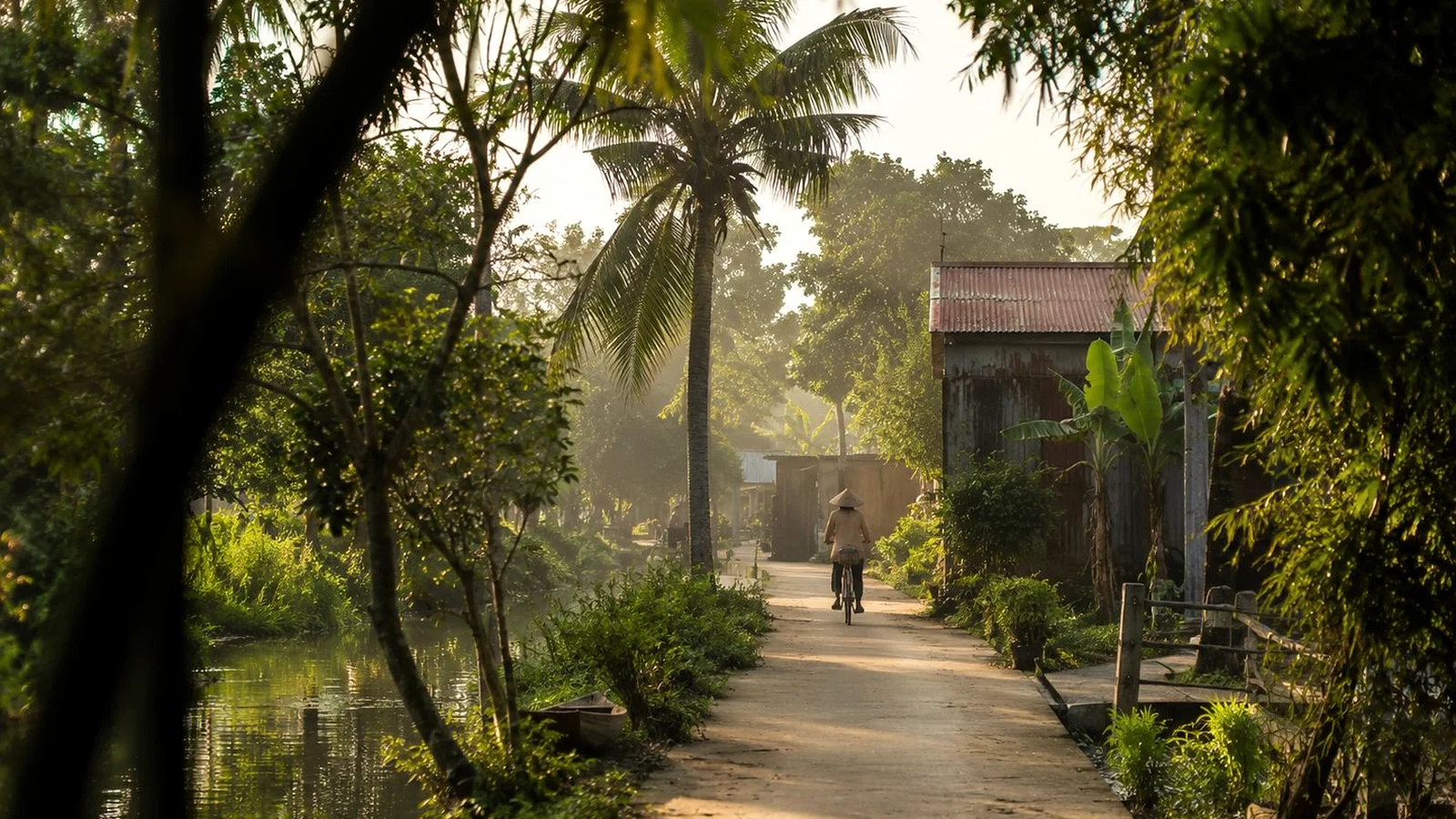 A quiet village lane beside a canal in the Mekong Delta, with bicycle movement in morning light
