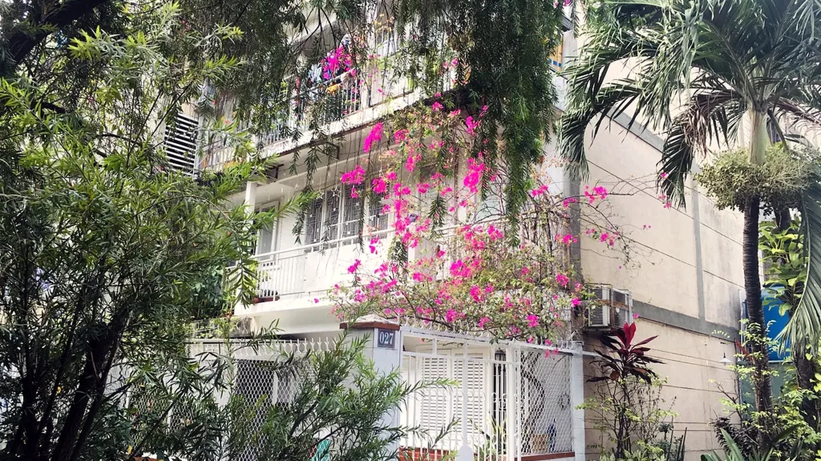 Vegetation, shade and tropical urban life in Saigon.
