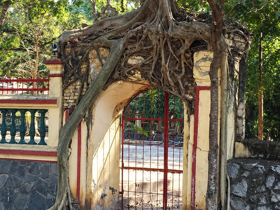The old gateway at Tân An–Bến Thế communal house, framed by mature tree roots
