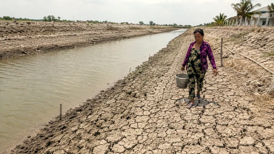 A drought-stricken canal edge in the Mekong Delta showing cracked earth and water stress